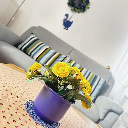 Boevergeest 10 Weitblick Vakantiehuis Böhl